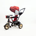 Guralica tricikl 65 cm