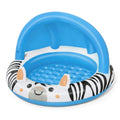 Bebi bazen zebra